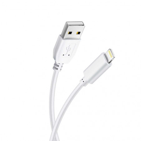 USB Data Cable pro iPhone 5/6/7/8/X/Xs Bílý