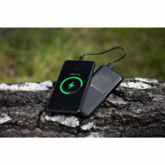 for Power Bank